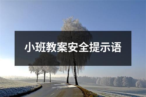 小班教案安全提示语