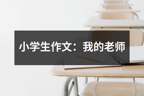 小学生作文：我的老师