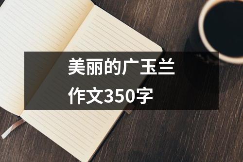 美丽的广玉兰作文350字