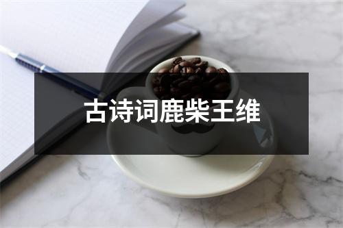 古诗词鹿柴王维