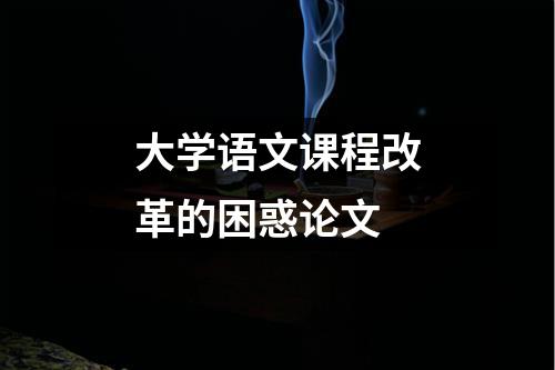 大学语文课程改革的困惑论文