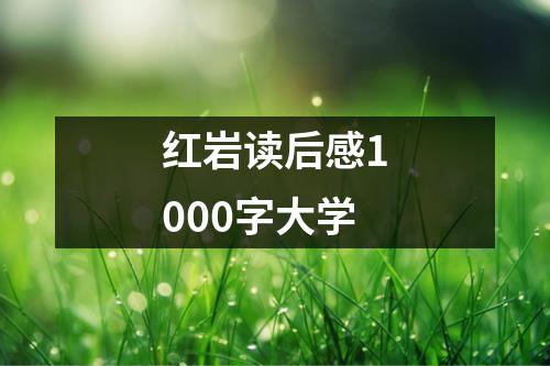 红岩读后感1000字大学