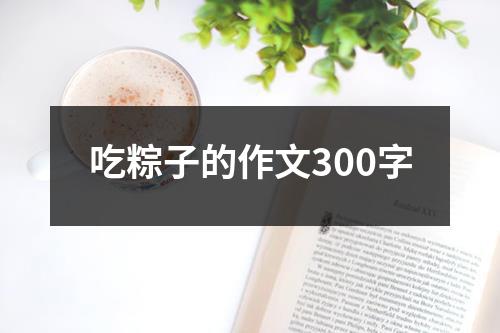 吃粽子的作文300字