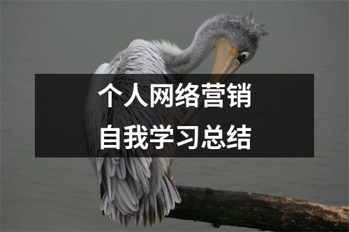 个人网络营销自我学习总结