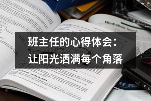 班主任的心得体会：让阳光洒满每个角落