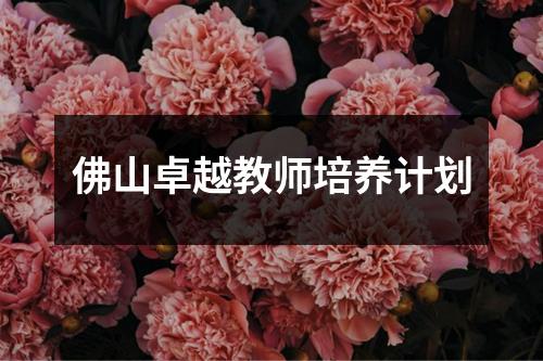 佛山卓越教师培养计划