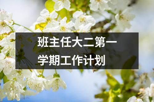 班主任大二第一学期工作计划