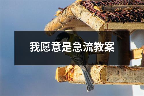 我愿意是急流教案