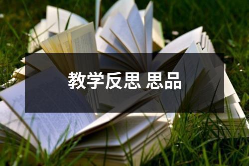 教学反思 思品