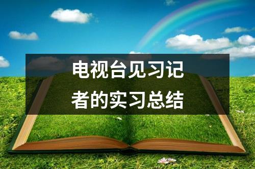 电视台见习记者的实习总结