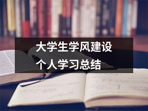 大学生学风建设个人学习总结