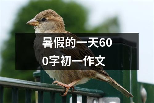 暑假的一天600字初一作文