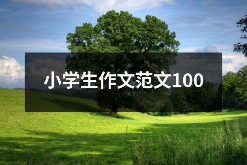 小学生作文范文100