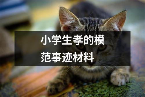 小学生孝的模范事迹材料