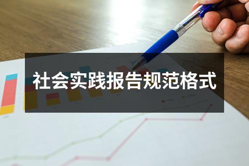 社会实践报告规范格式