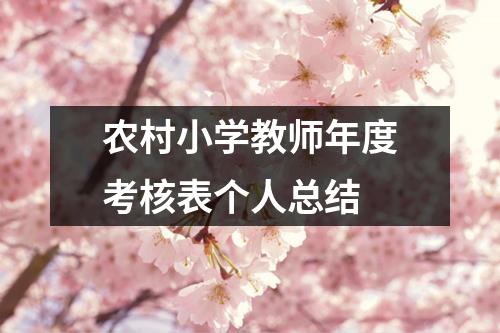 农村小学教师年度考核表个人总结