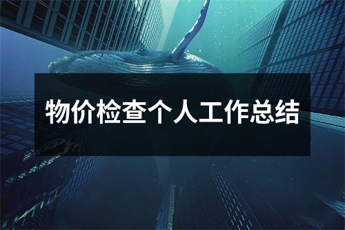 物价检查个人工作总结