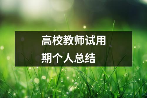 高校教师试用期个人总结