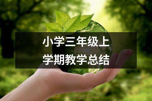 小学三年级上学期教学总结