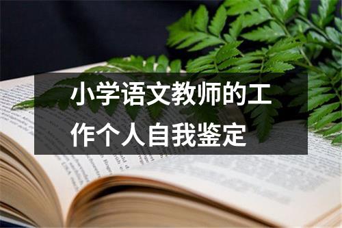 小学语文教师的工作个人自我鉴定