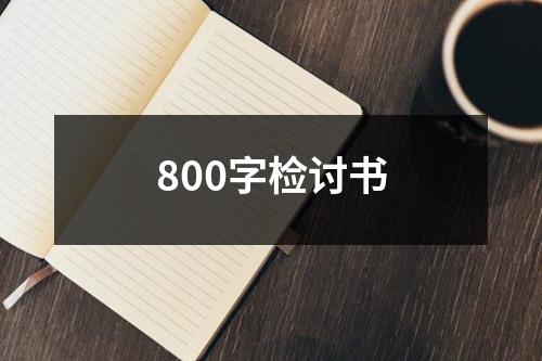 800字检讨书