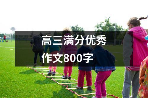 高三满分优秀作文800字