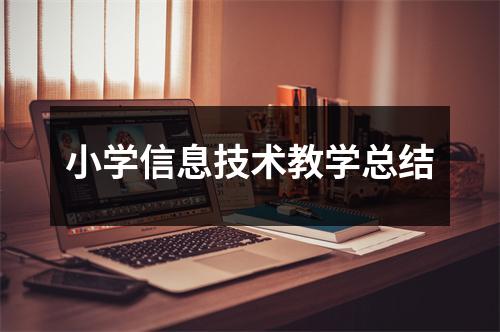 小学信息技术教学总结