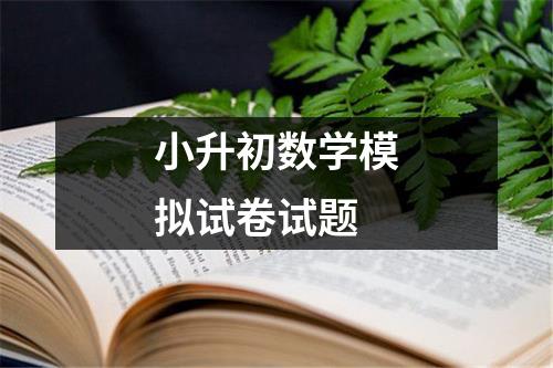 小升初数学模拟试卷试题