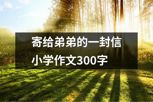 寄给弟弟的一封信小学作文300字