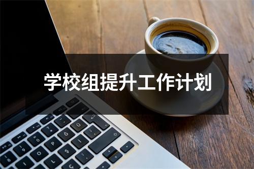 学校组提升工作计划