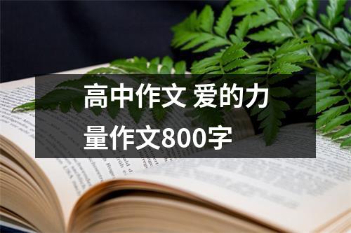 高中作文 爱的力量作文800字