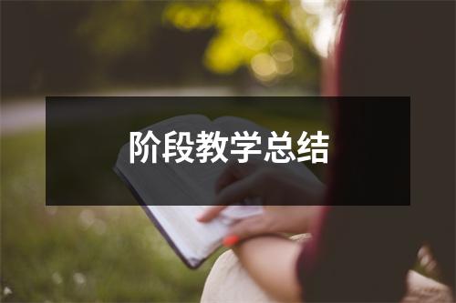 阶段教学总结