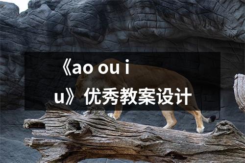 《ao ou iu》优秀教案设计