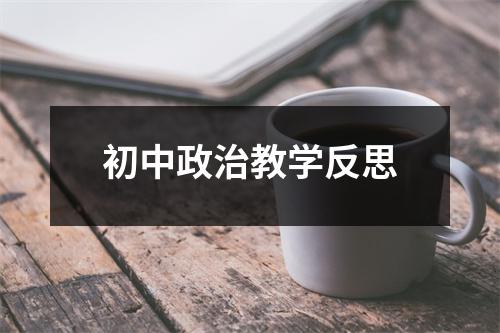 初中政治教学反思