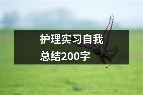 护理实习自我总结200字