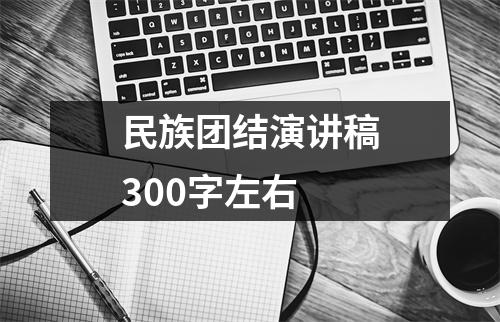 民族团结演讲稿300字左右