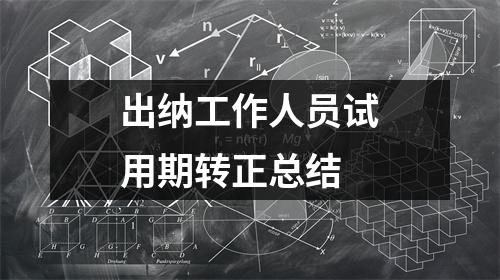 出纳工作人员试用期转正总结