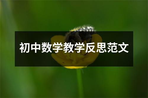 初中数学教学反思范文