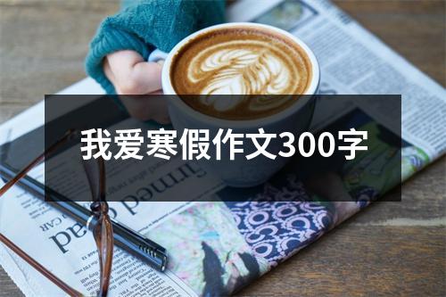 我爱寒假作文300字