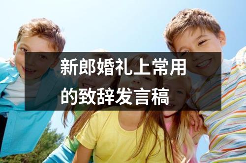 新郎婚礼上常用的致辞发言稿