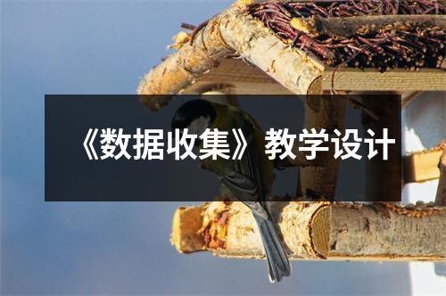 《数据收集》教学设计