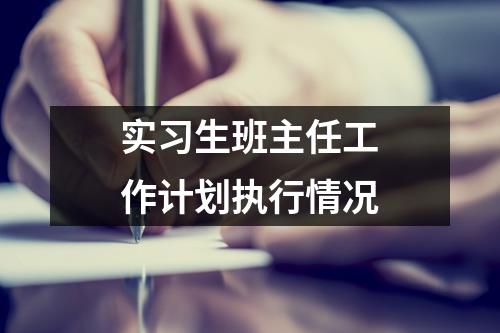 实习生班主任工作计划执行情况