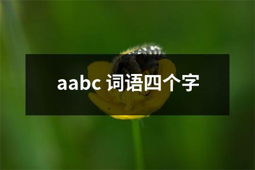 aabc 词语四个字