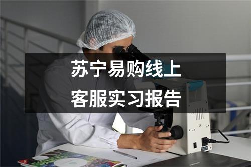 苏宁易购线上客服实习报告