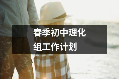 春季初中理化组工作计划