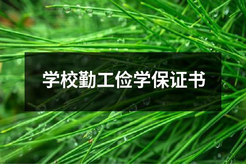 学校勤工俭学保证书