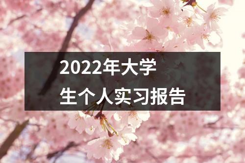 2022年大学生个人实习报告