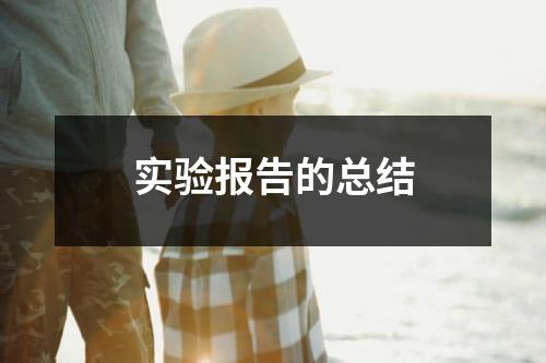 实验报告的总结