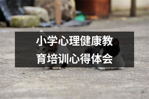 小学心理健康教育培训心得体会