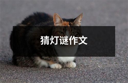 猜灯谜作文